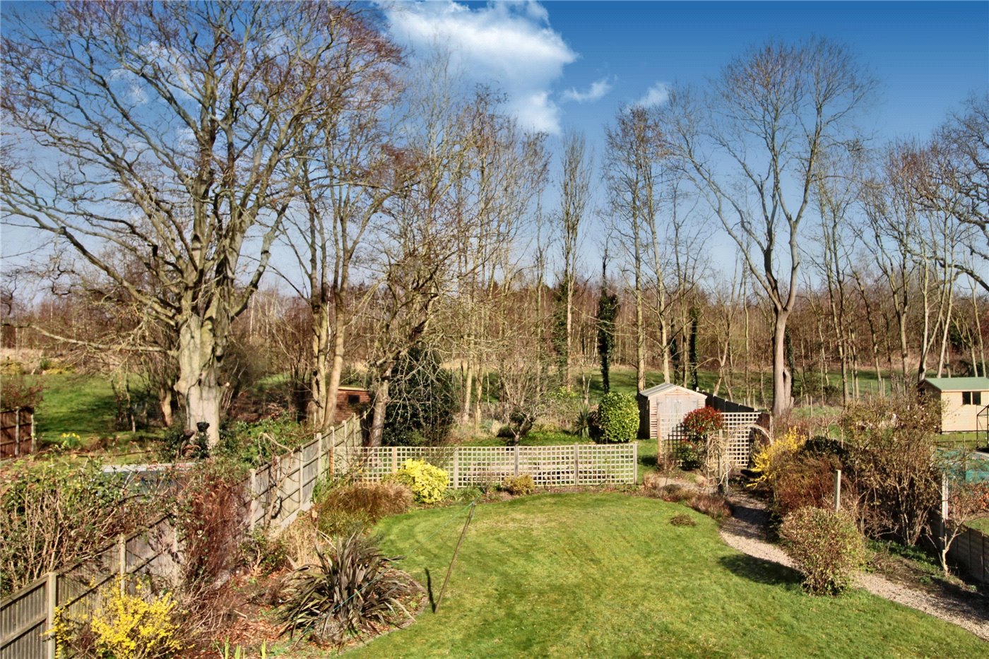 Garden